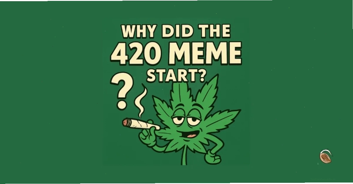420 meme 420 meme va y nghia