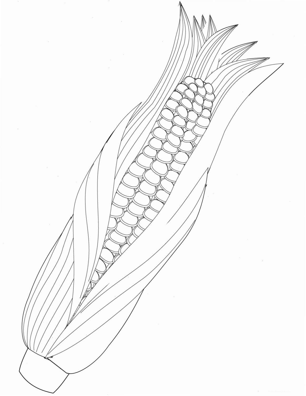 Ảnh 11
