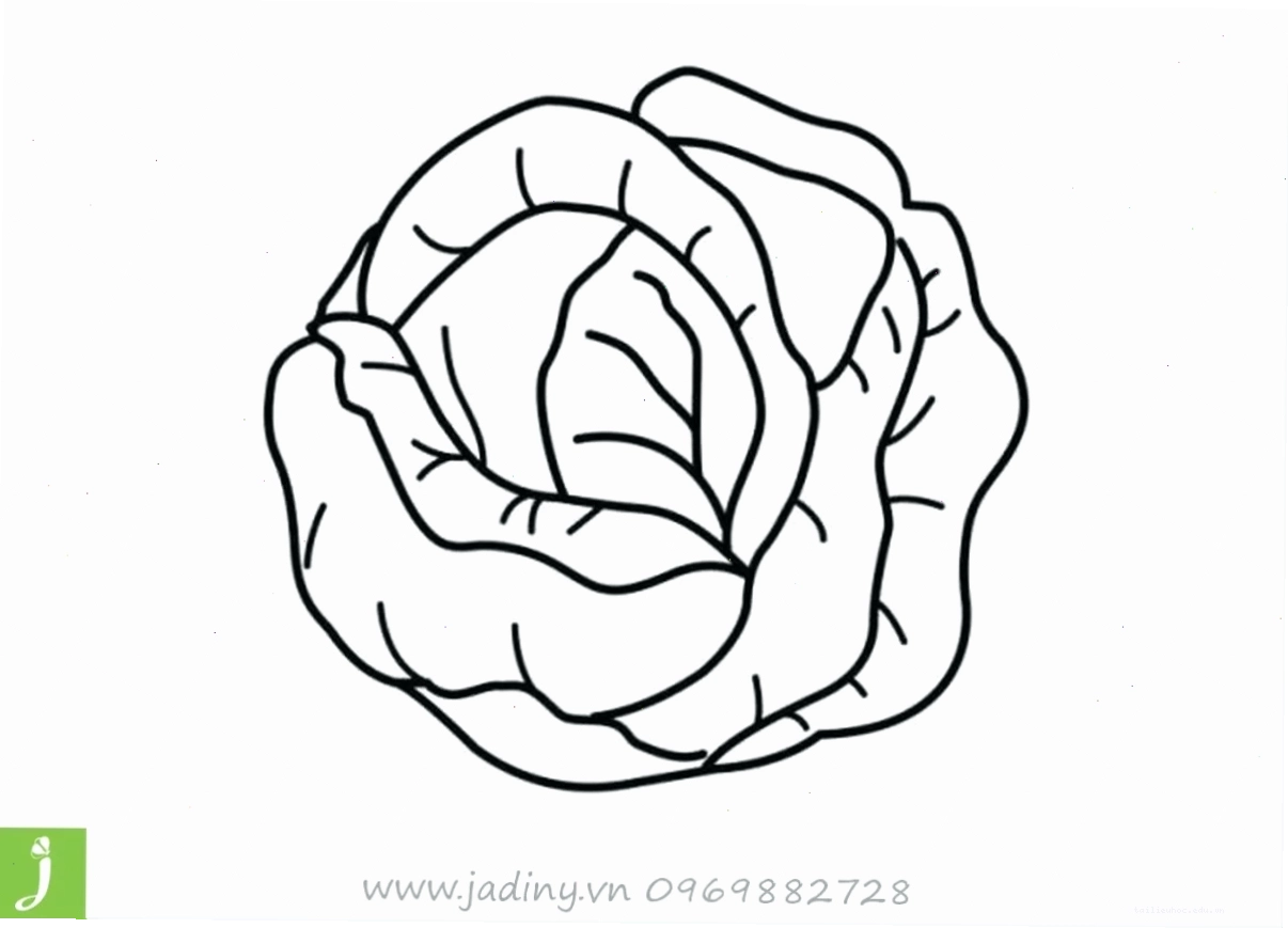 Ảnh 15