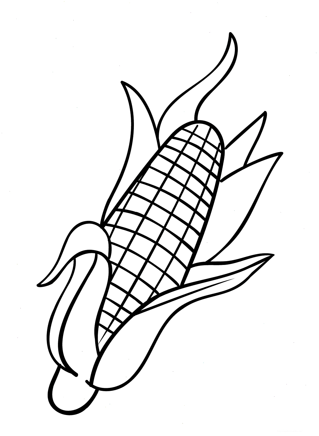 Ảnh 21