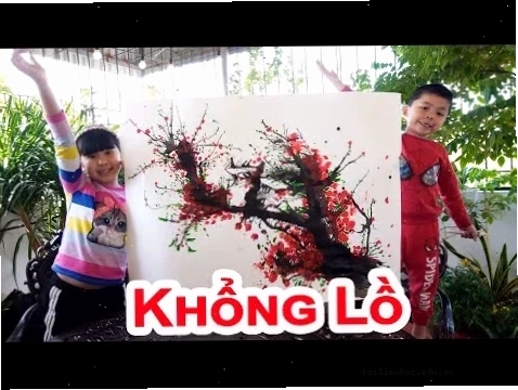 Ảnh 23