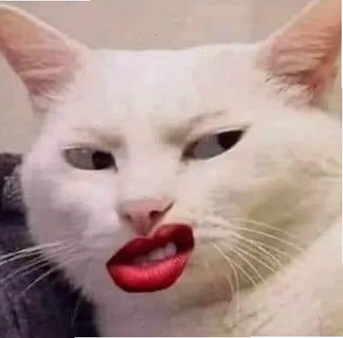 24 anh 24
