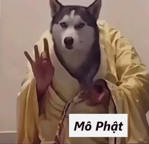 Ảnh a di đà phật meme