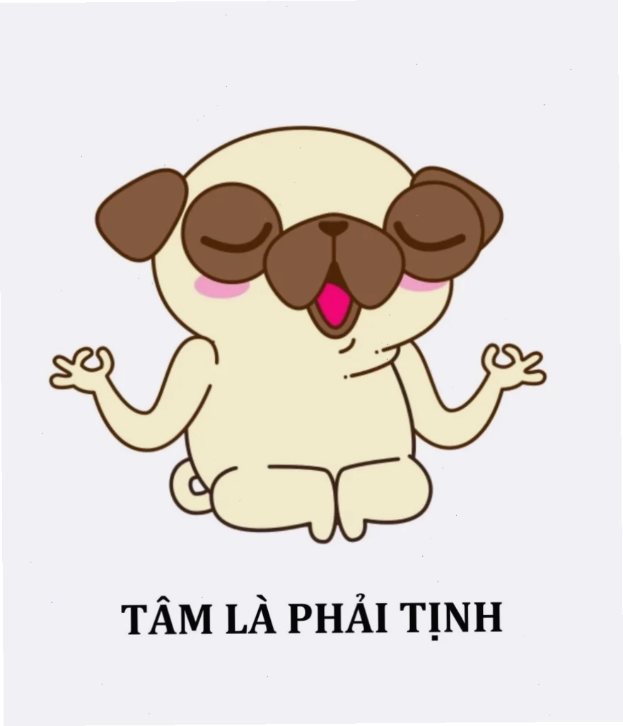 Meme hài ảnh bìa meme