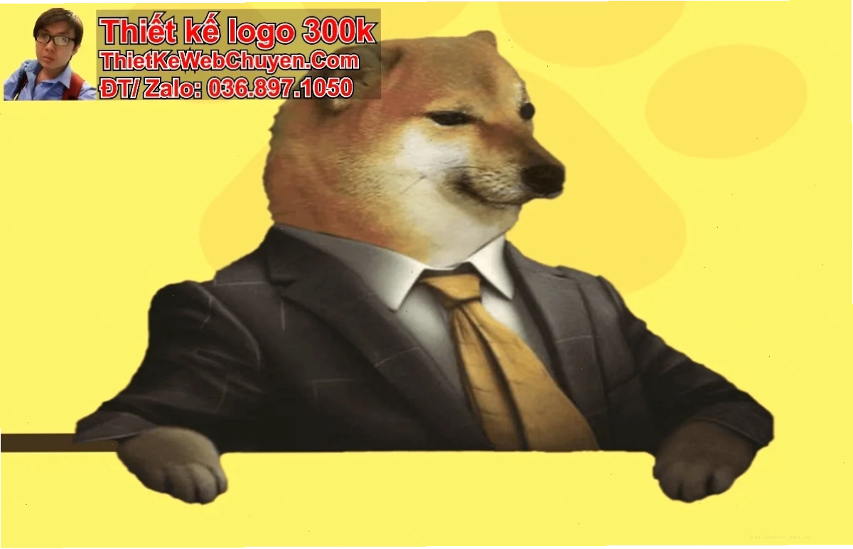 Meme hài ảnh bìa meme