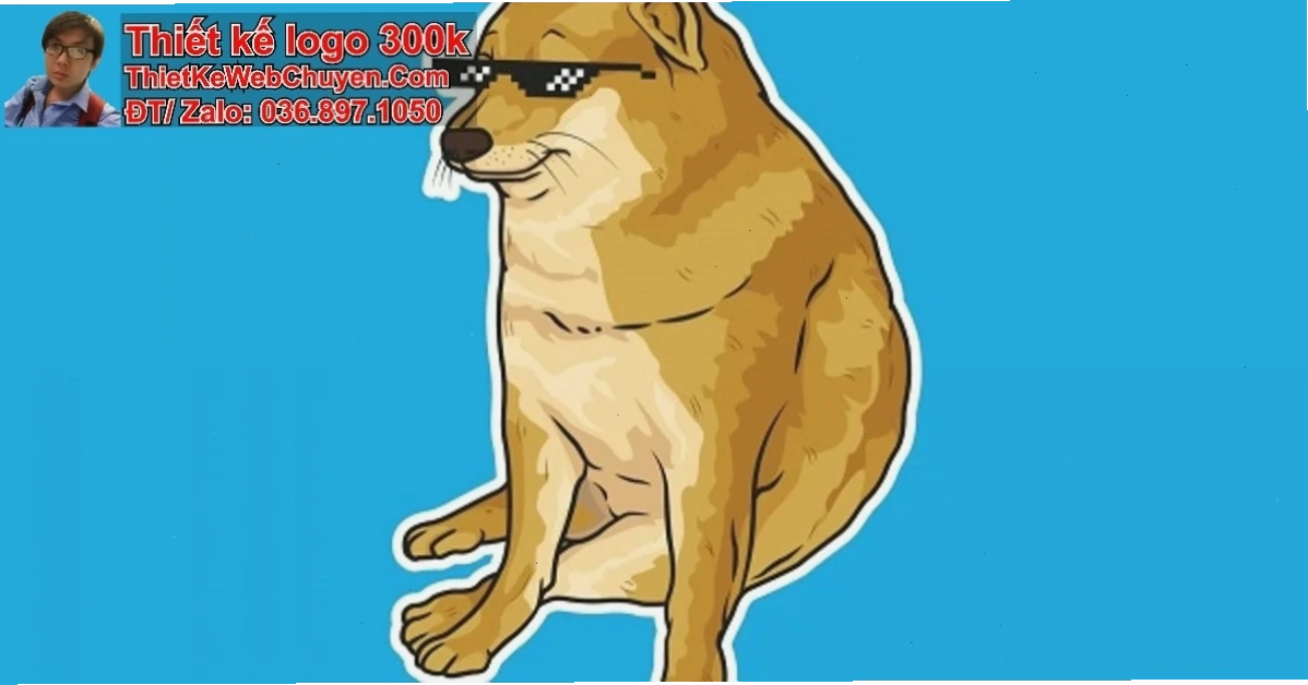 Meme thú vị ảnh bìa meme