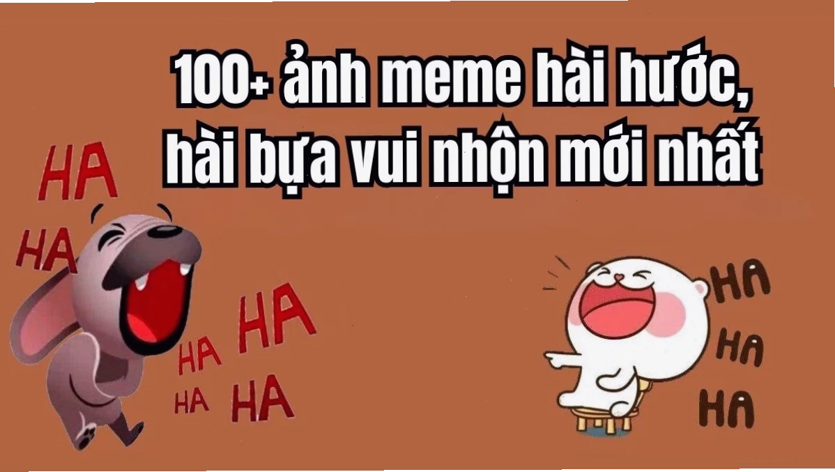 Meme vui vẻ ảnh bìa meme hài hước
