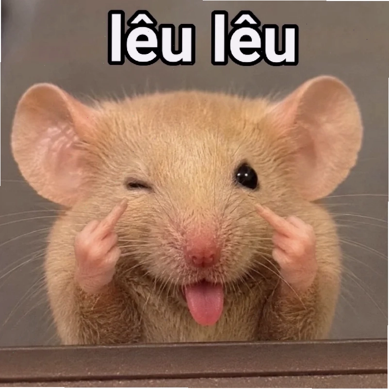 ảnh chuột hamster meme cầm súng ảnh chuột hamster meme cầm súng