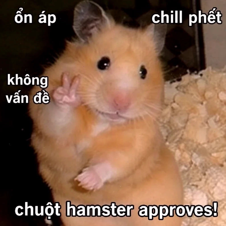 ảnh chuột hamster meme đeo kính ảnh chuột hamster meme đeo kính