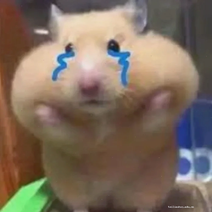 ảnh chuột hamster meme hạnh phúc ảnh chuột hamster meme hạnh phúc