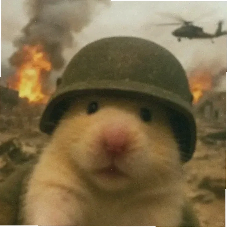ảnh chuột hamster meme trợn mắt ảnh chuột hamster meme trợn mắt
