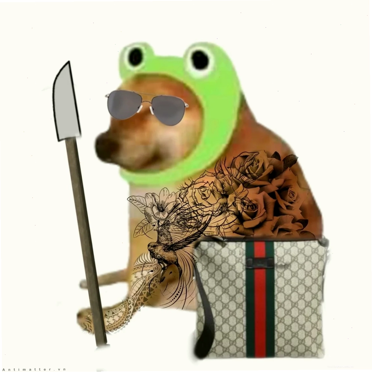 ảnh con chó meme ăn