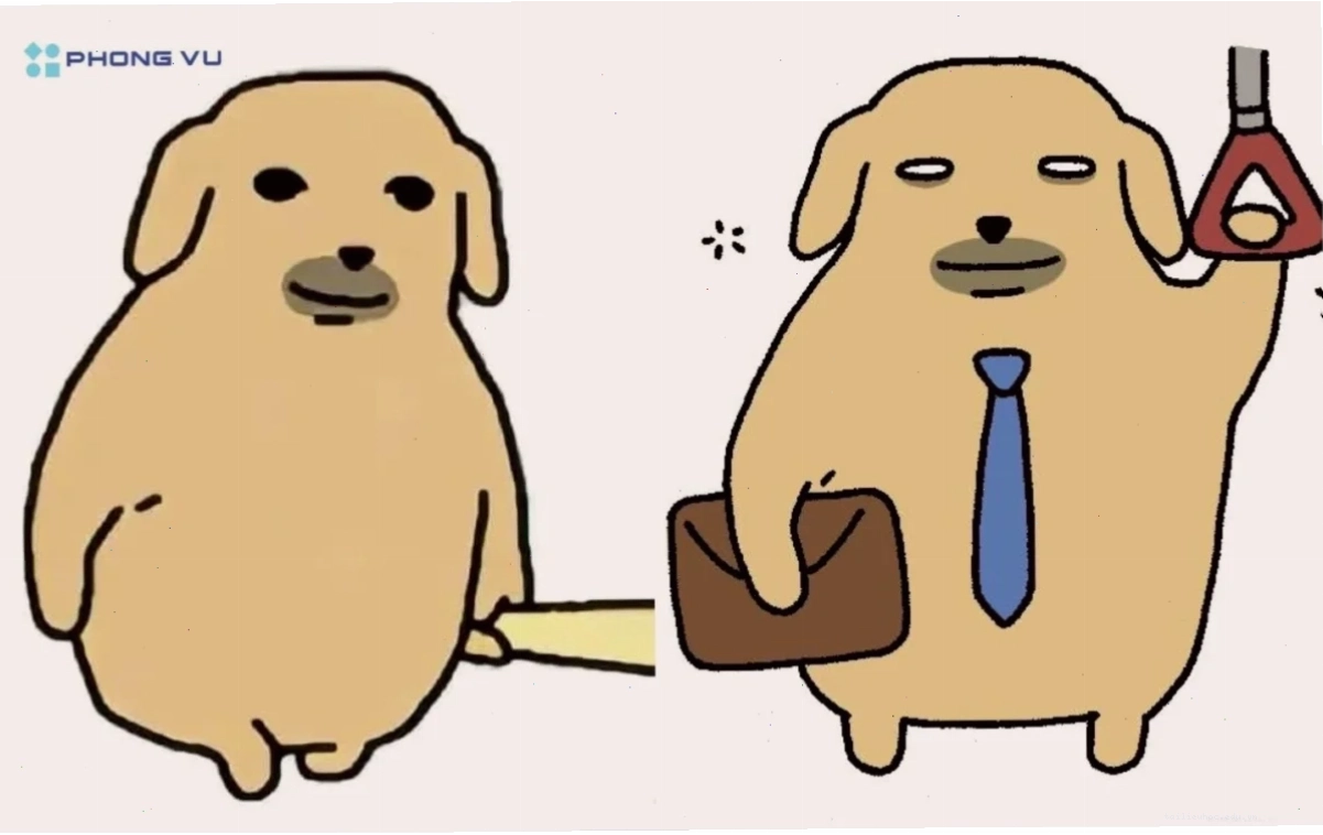 ảnh con chó meme cầm súng