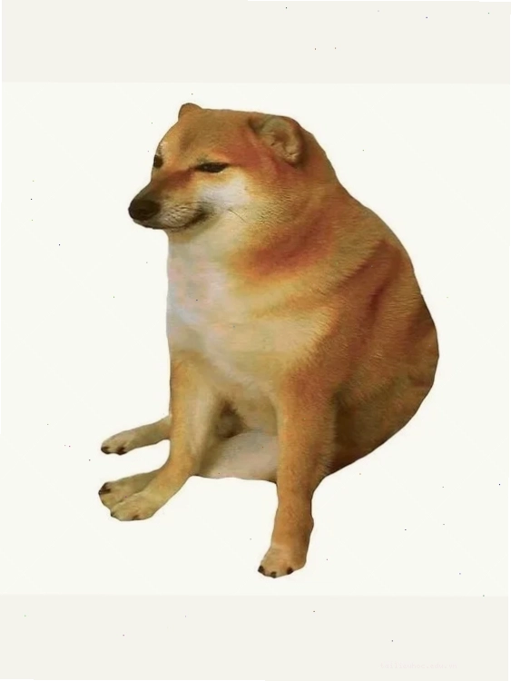 ảnh con chó meme Husky