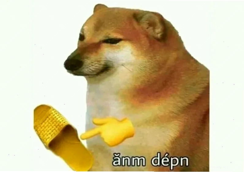 ảnh con chó meme khó hiểu