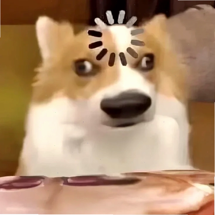 ảnh con chó meme ngáo