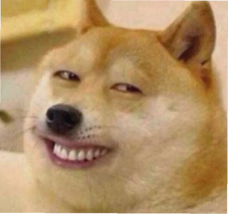 ảnh con chó meme ôm đầu