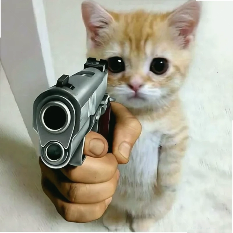 Mèo nghịch ngợm ảnh con mèo meme