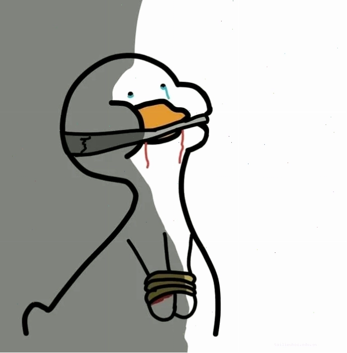 ảnh con vịt meme chơi game