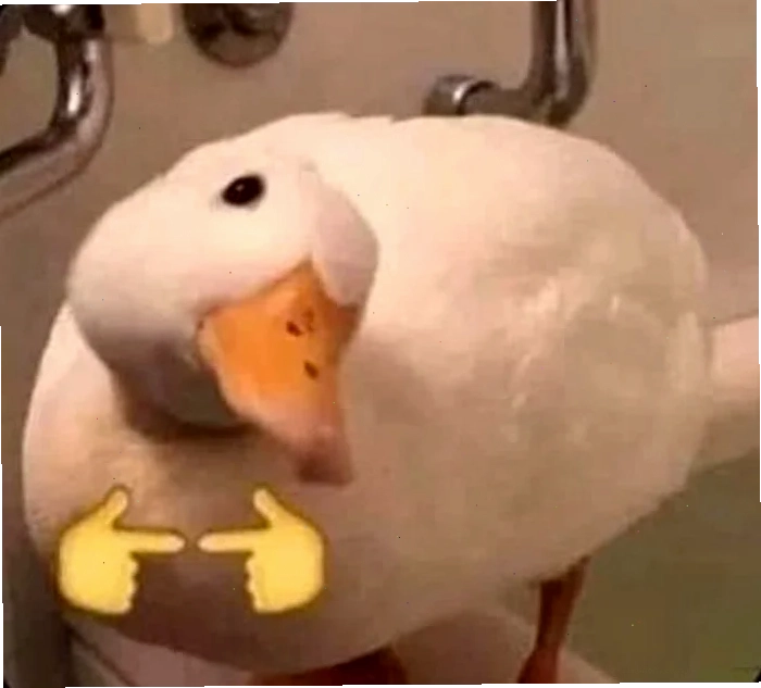 ảnh con vịt meme cười