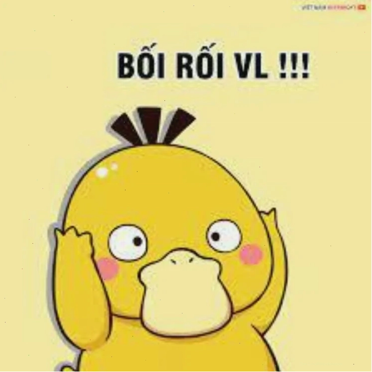 ảnh con vịt meme đọc sách