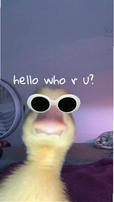ảnh con vịt meme nhảy múa