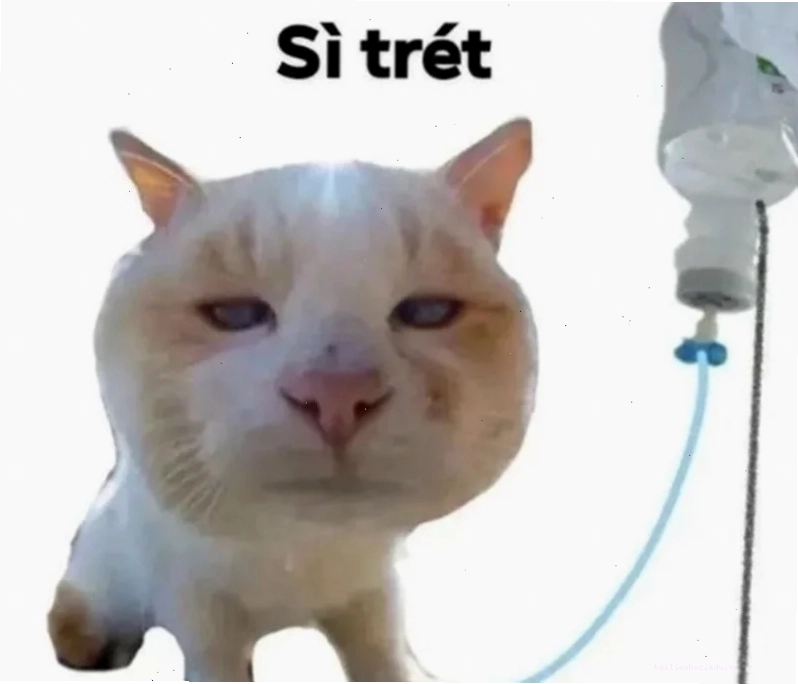 diễn sâu meme ảnh đang suy nghĩ meme kiểu làm quá