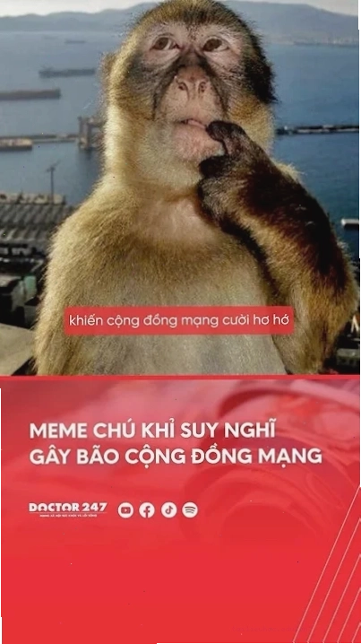 suy nghĩ hài ảnh đang suy nghĩ meme vui nhộn