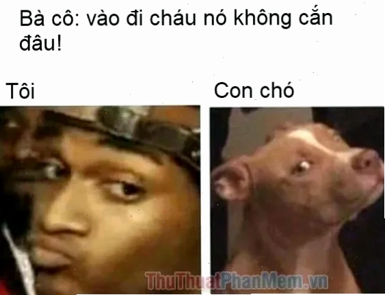bộ sưu tập meme ảnh dark meme 2 đặc sắc