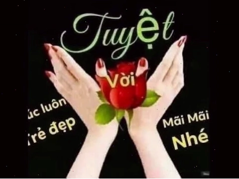 Ảnh đời sống xinh đẹp tuyệt vời meme