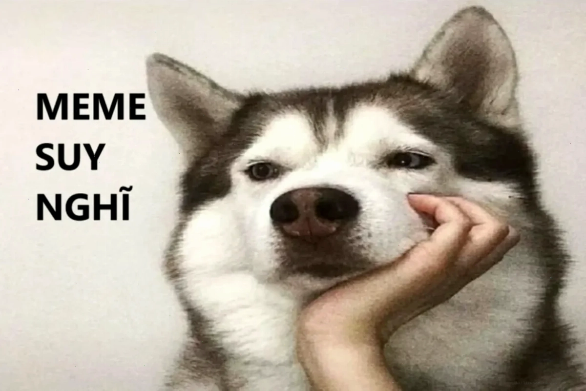 bé đau đầu ảnh em bé suy nghĩ meme đang vò đầu