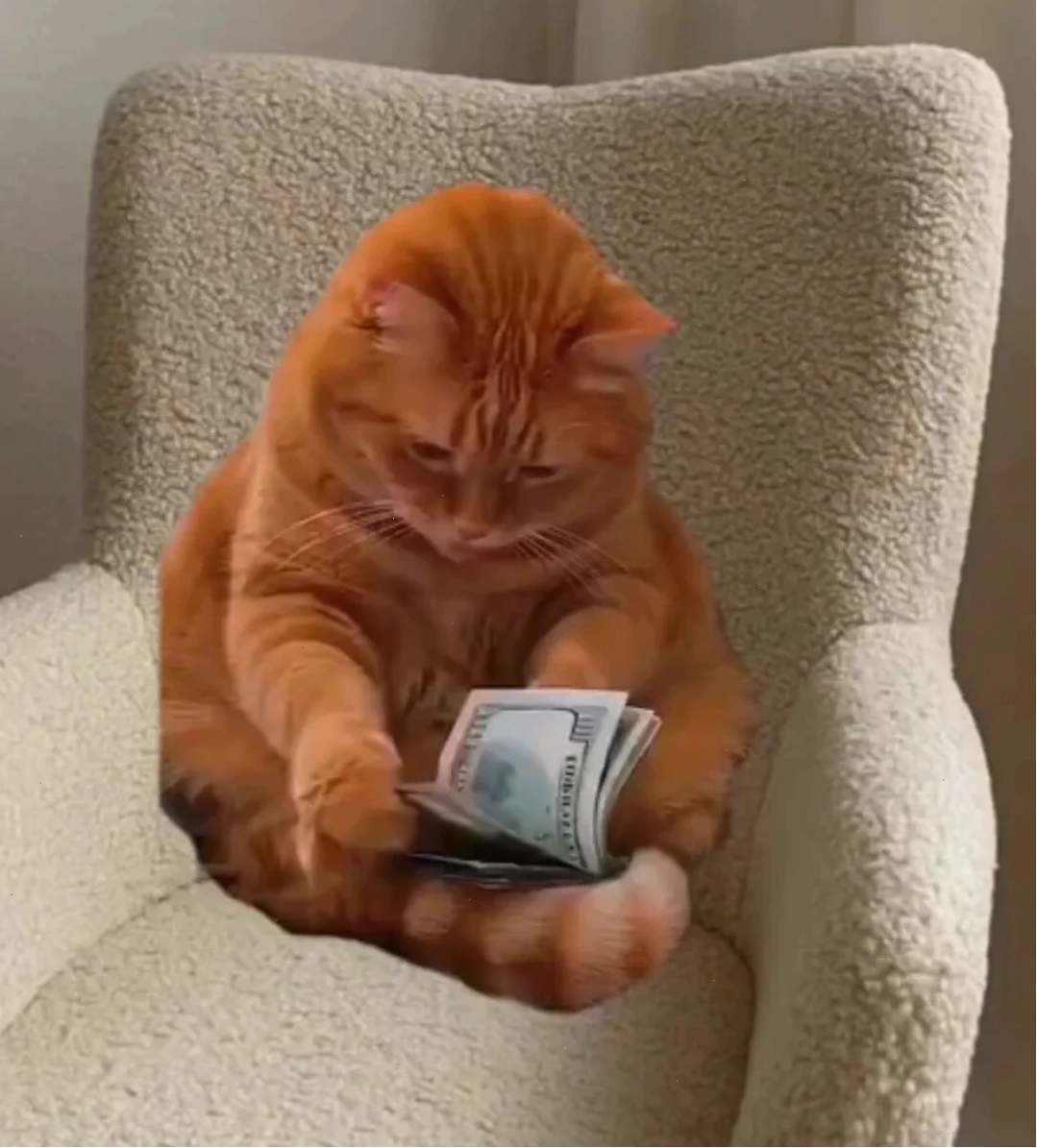 Ảnh hưởng từ việc sử dụng meme trong trường hợp