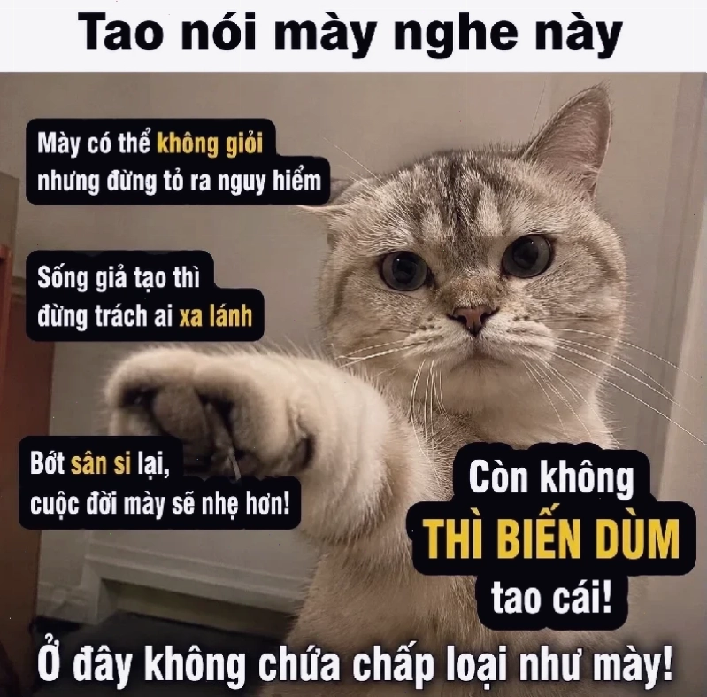 Meme gắt ảnh meme chửi tục cực gắt