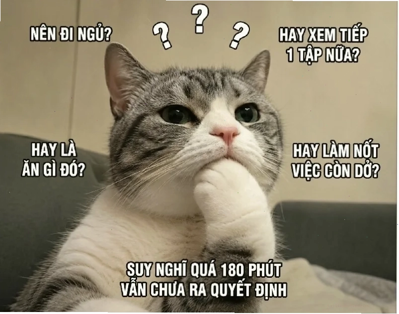 cùng suy luận ảnh meme cùng suy nghĩ đang nhìn máy tính