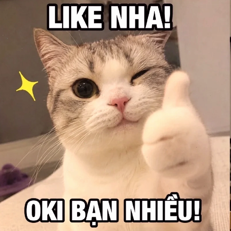 ảnh meme cute em bé ảnh meme cute em bé cười rạng rỡ