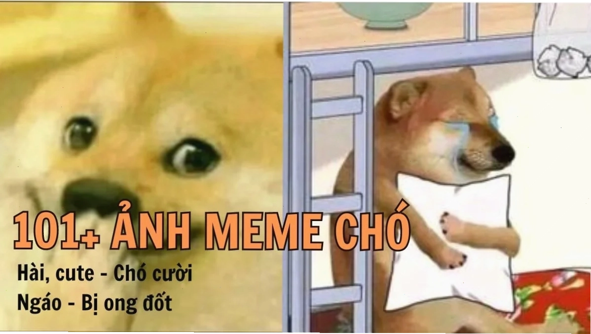 ảnh meme cute em bé ảnh meme cute em bé khóc nhè