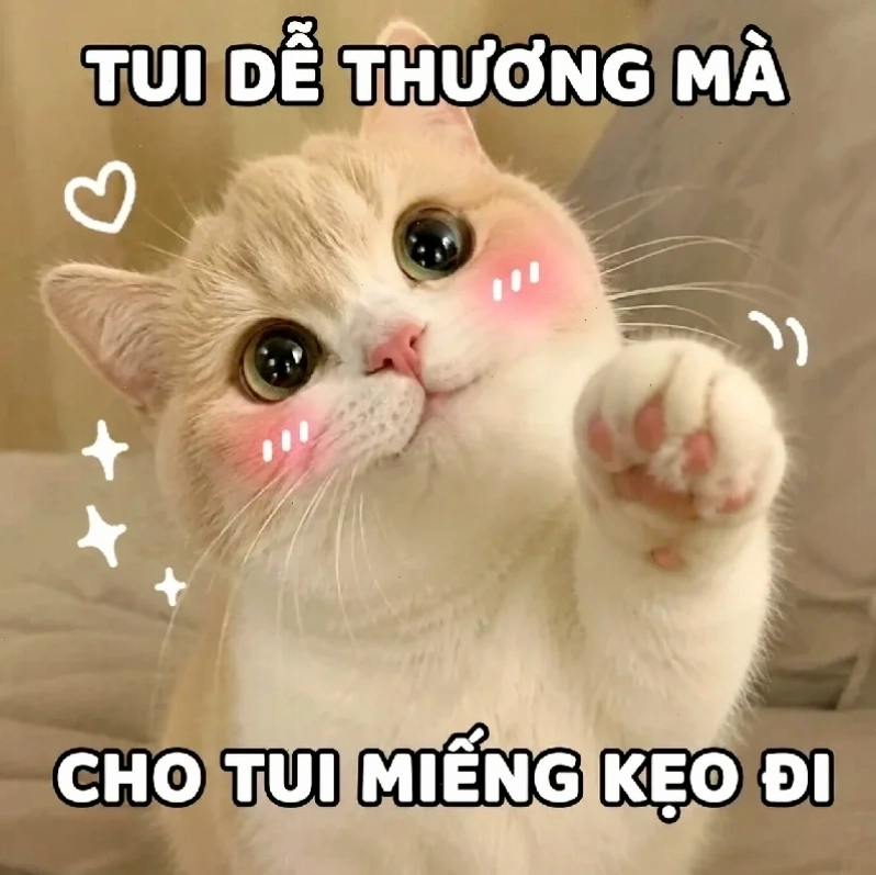 ảnh meme cute hài ảnh meme cute hài hước độc đáo