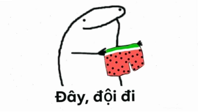 ảnh meme cute mèo ảnh meme cute mèo nằm lười biếng