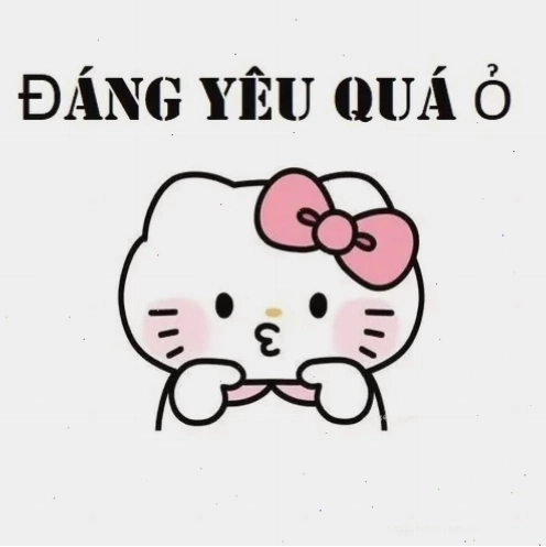 ảnh meme cute mèo ảnh meme cute mèo vô tri đáng yêu