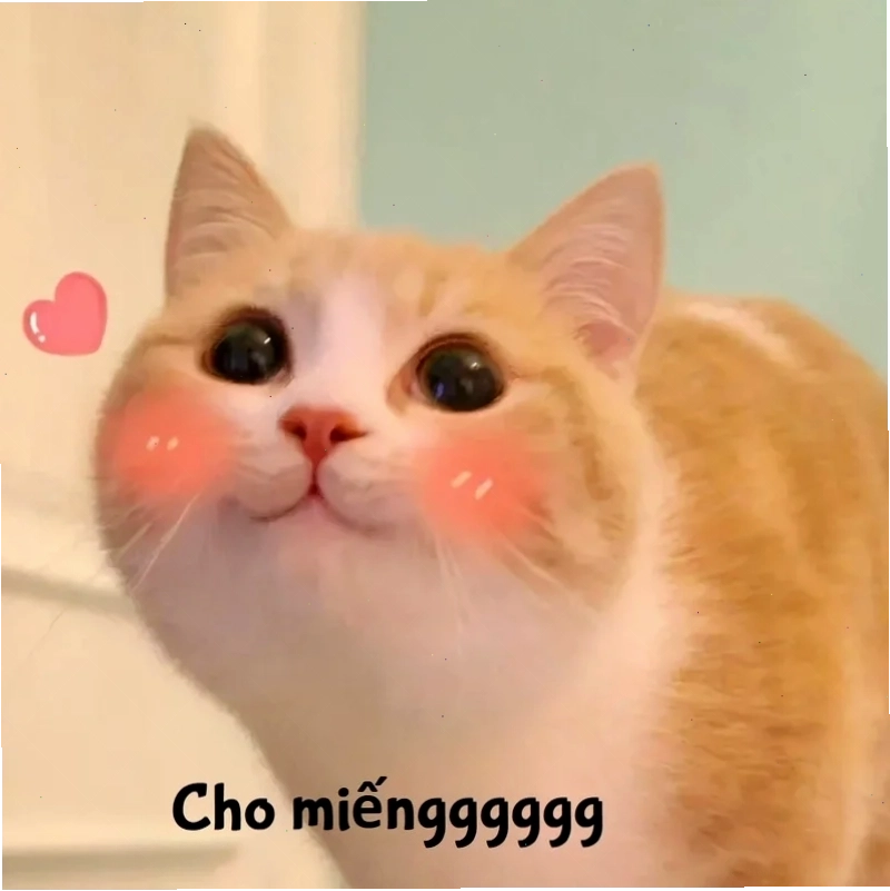 ảnh meme cute vô tri ảnh meme cute vô tri ngơ ngác