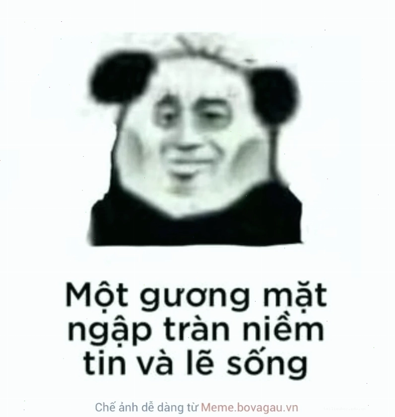 Gấu trúc câm nín Ảnh meme gấu trúc câm nín