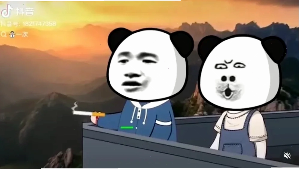 Gấu trúc trèo cây Ảnh meme gấu trúc lầy lội đang trèo cây