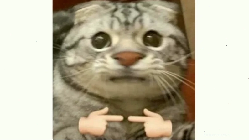 ảnh meme làm avatar fb ảnh meme làm avatar fb phong cách cổ điển