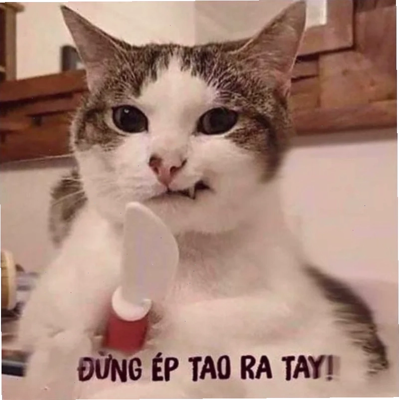 ảnh meme làm avatar tiktok ảnh meme làm avatar tiktok phong cách sáng tạo
