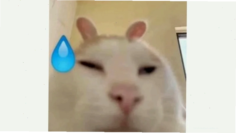 meme nổi bật ảnh meme màu sắc nổi bật