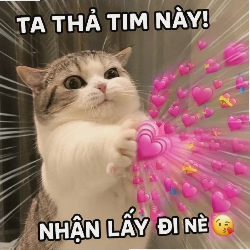 ảnh meme mèo cute đeo kính ảnh meme mèo cute đeo kính