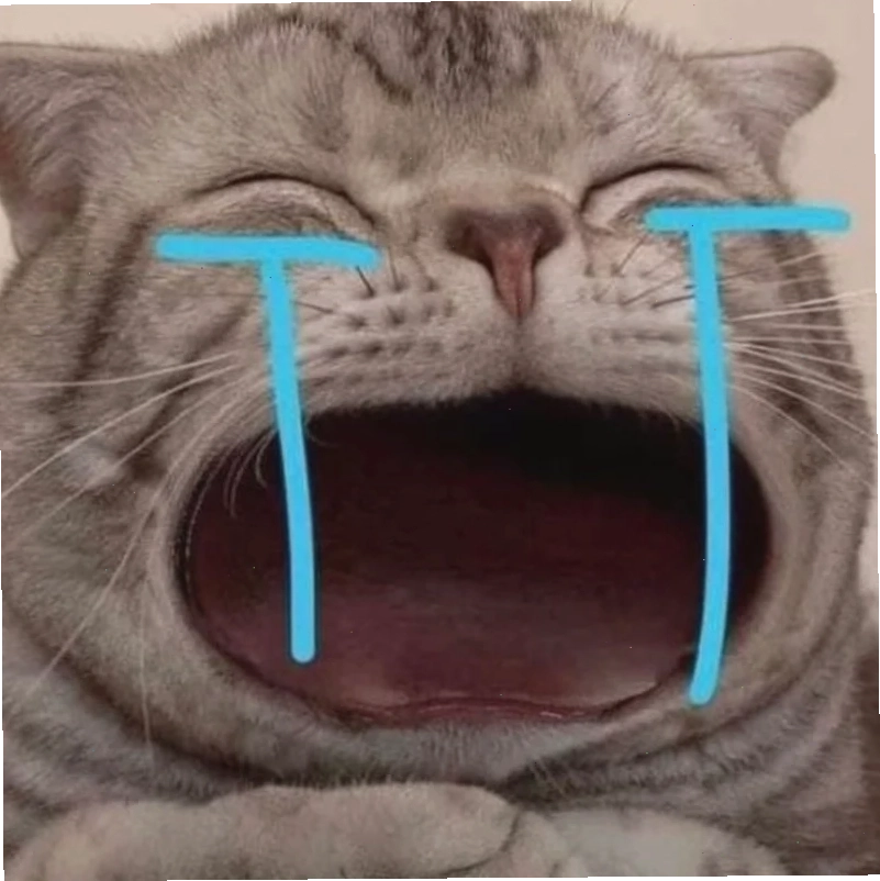 Mèo khóc đồ chơi ảnh meme mèo khóc bên đồ chơi