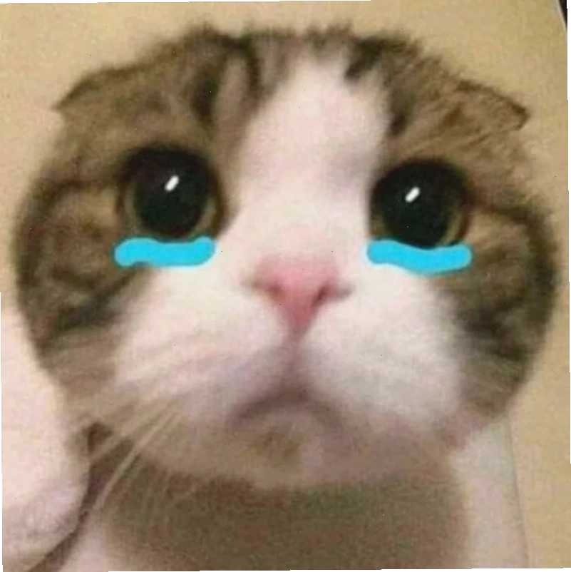Mèo khóc like ảnh meme mèo khóc like
