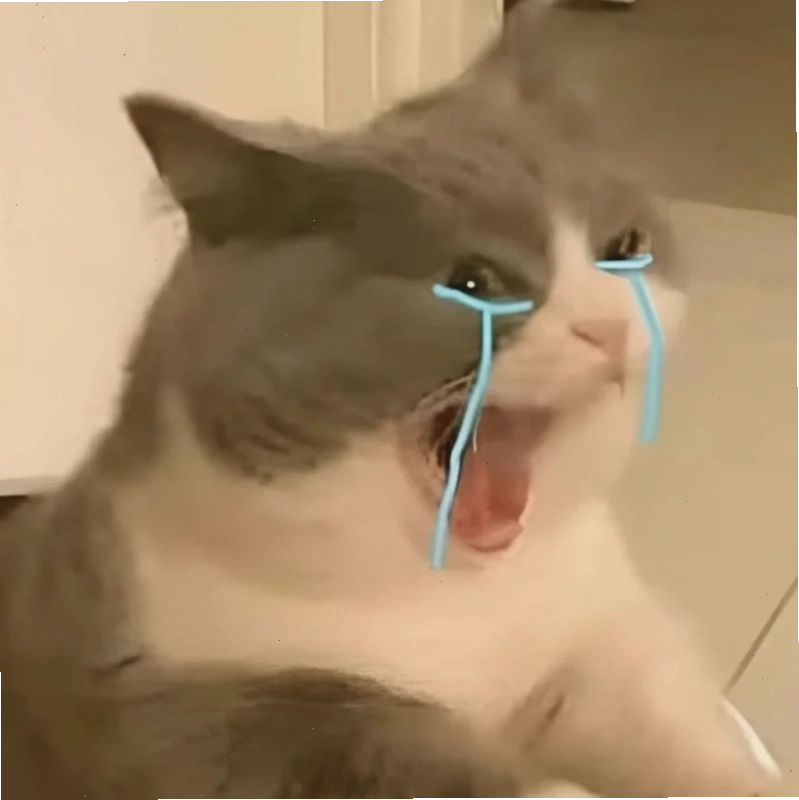 Mèo nằm khóc ảnh meme mèo khóc nằm bệt