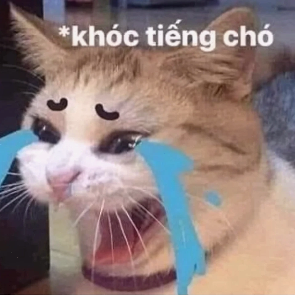 Mèo nhìn xa xăm ảnh meme mèo khóc nhìn xa xăm